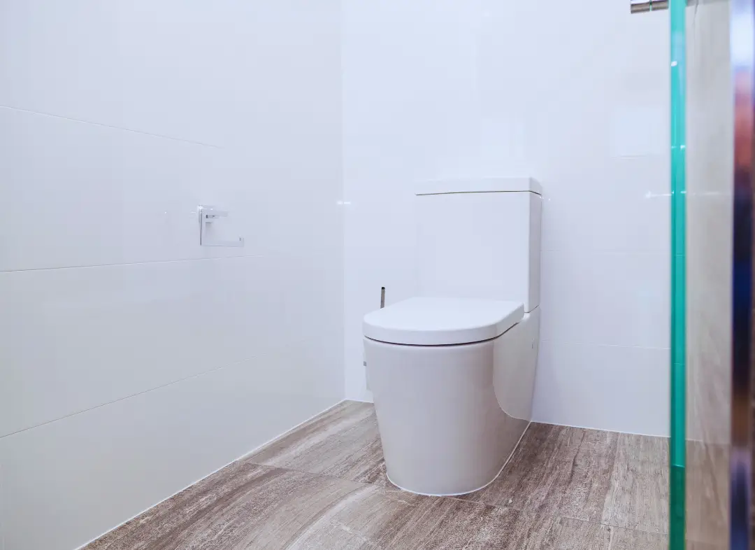 Remplacement de wc Aubignan